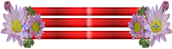 b12.png