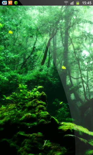 Awesome Forest Live Wallpaper