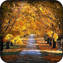 Autumn Wallpapers mobile app icon