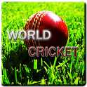 World Cricket Game icon