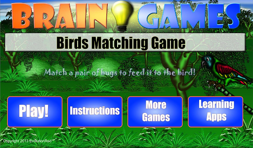 Birds Matching Game