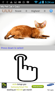 My Pet Cat - My World Screenshots 2