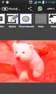 Free Photo Editor APK for PC