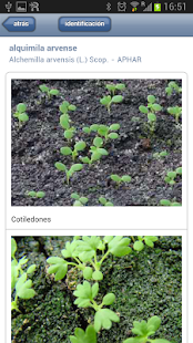 Identificación de plántulas Screenshots 3