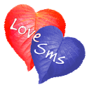 LOVE SMS icon