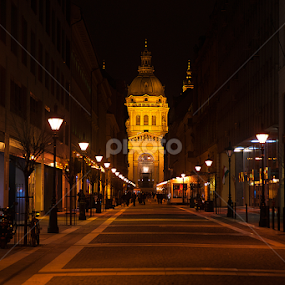 katedrala by Darko Kireta - Buildings & Architecture Public & Historical