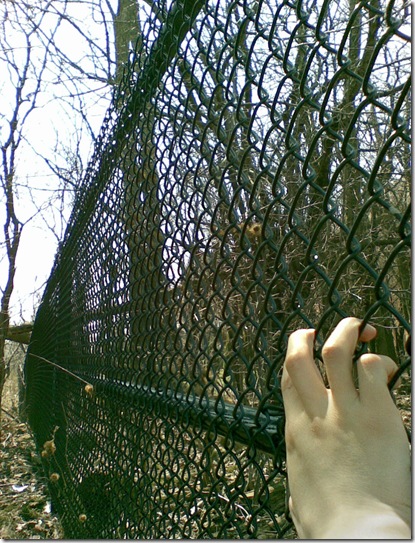 Image008
