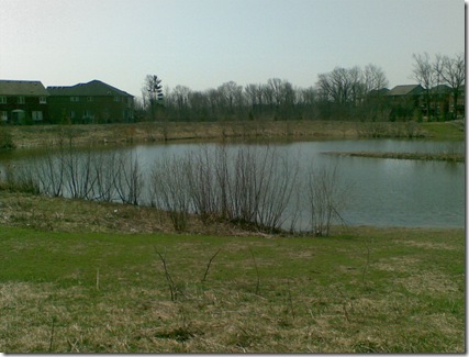 Image004