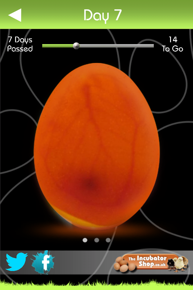 iHatch-Chickens Screen 2