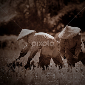 The beginning of life by A Friyana Wiradikarta - People Portraits of Women