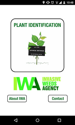 Weed Identifier UK