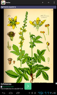 Home herbal Screenshots 4