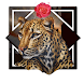 Handsome Leopard Live Wallpape