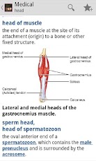 Dorland�s Medical DictionaryTR