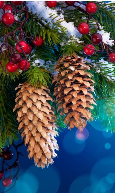 New Year Live Wallpaper Screen 2