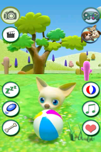 How to mod Talking Chihuahua Free lastet apk for laptop