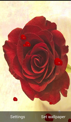 Note 4 Red Rose Wallpaper