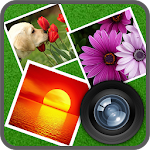 Collage Mania Apk