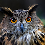 by Renos Hadjikyriacou -  