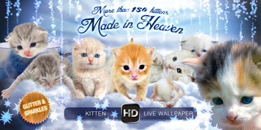 免費下載個人化APP|Kitten Puppies live wallpaper app開箱文|APP開箱王