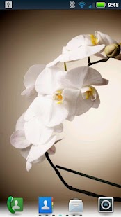 Free Download Orchids Live Wallpaper APK