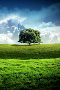 Lastest Test Application w45 - RC2 APK for Android