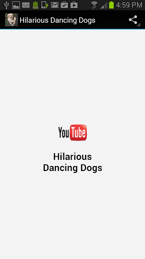 Hilarious Dancing Dogs