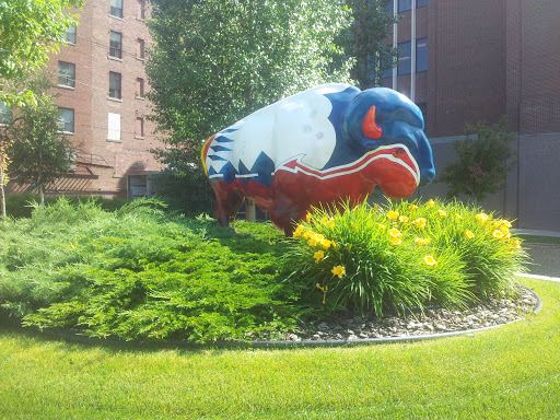 Davidson Circle Painted Buffalo