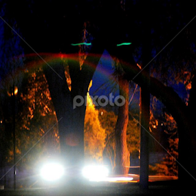 by Candy (Ellison) Downs - Landscapes Travel