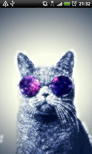 Cat Sunglasses Live Wallpaper