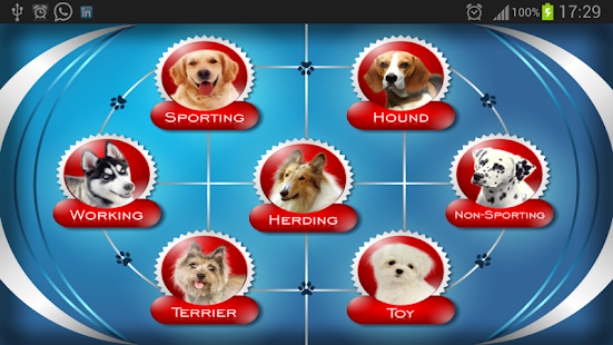 Download About Dog Breeds (Free) APK for Android