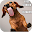Screen cleaner dog Download on Windows