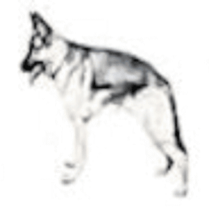 Barking Calculator.apk 4.15
