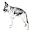 Barking Calculator Download on Windows
