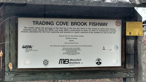 Trading Cove Brook Fishway