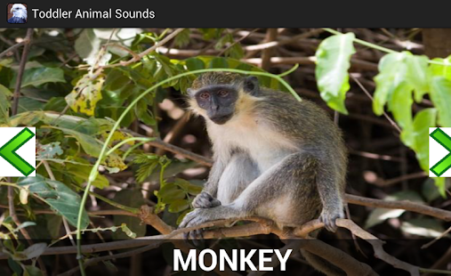 Free Download Toddler Zoo Sounds World APK for PC