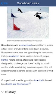 download Snowboard EX free