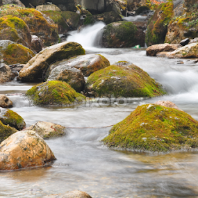 quietly by Catalin Nastase - Nature Up Close Natural Waterdrops