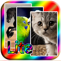 Wallpapers and pictures logo