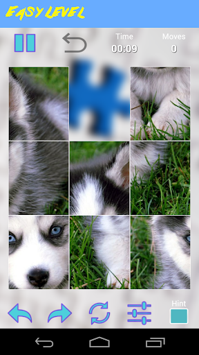 【免費解謎App】Husky Jigsaw Puzzle-APP點子