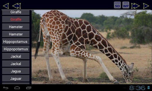Animal ABC Book Screenshots 5