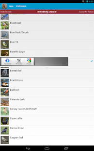 Spanish Birds Sounds Screenshots 2