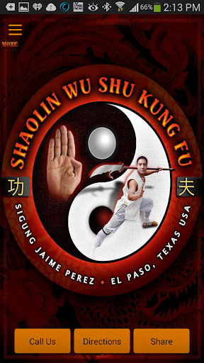 Shaolin Wushu Kung Fu