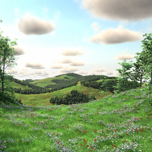 Hidden Garden Woodland 1.0