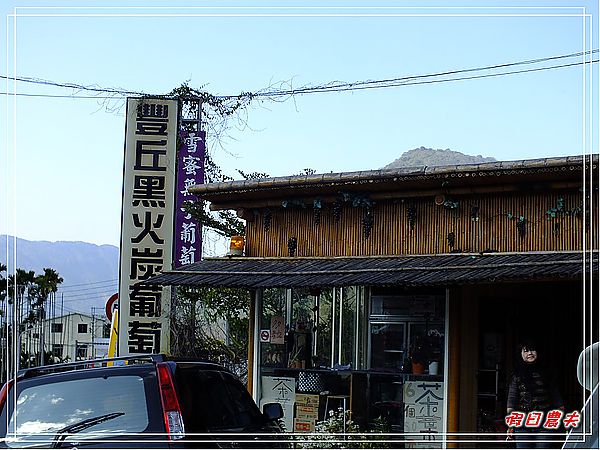 黑火炭葡萄冰沙＆水里董家肉圓