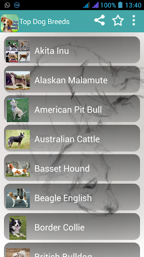 Dog Breeds Easy Pet Finder