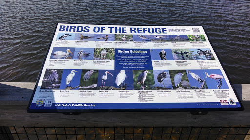 Birds of the Refuge