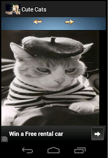 How to mod Cute Tom Cats Wallpapers 1 unlimited apk for pc