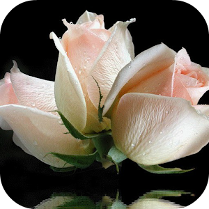 Roses Animated Live Wallpaper.apk 1.1.1