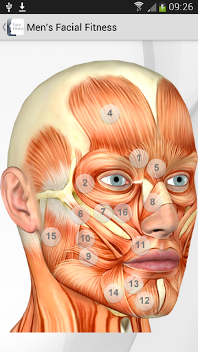 Men's Facial exercises